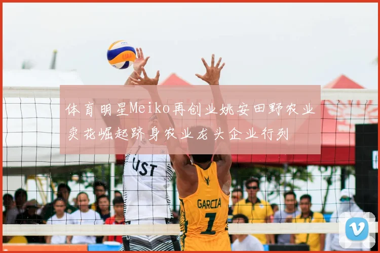 体育明星Meiko再创业姚安田野农业卖花崛起跻身农业龙头企业行列