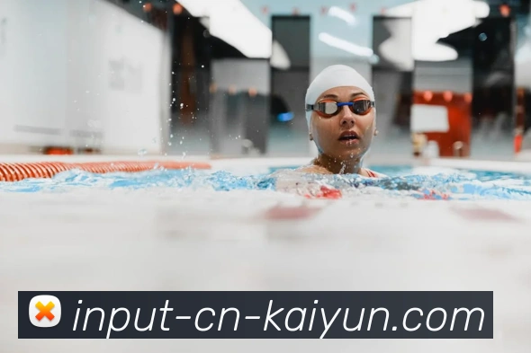 开云平台生态图